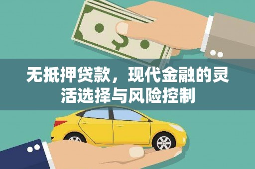 乐东无抵押贷款，现代金融的灵活选择与风险控制