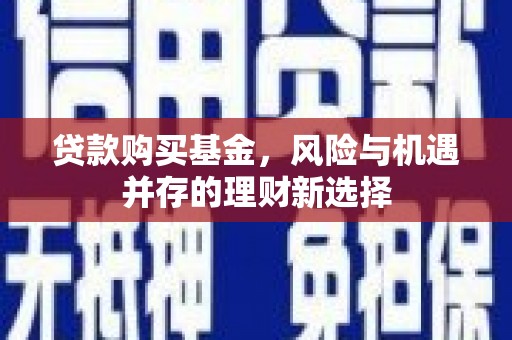 乐东贷款购买基金，风险与机遇并存的理财新选择
