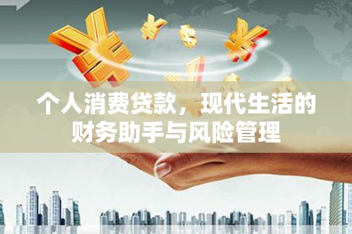 乐东个人消费贷款，现代生活的财务助手与风险管理