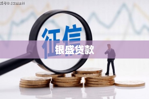 乐东银盛贷款