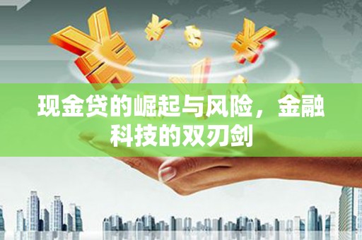 乐东现金贷的崛起与风险，金融科技的双刃剑