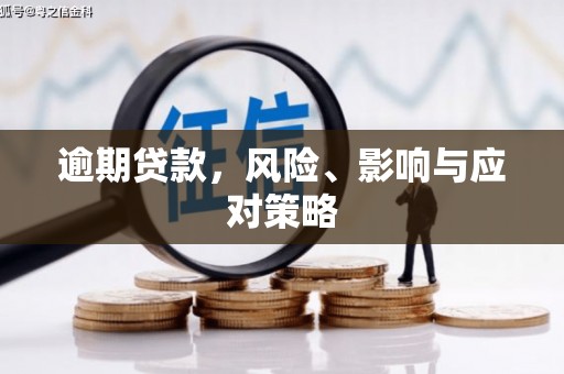 乐东逾期贷款，风险、影响与应对策略