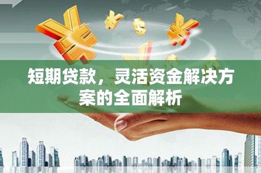 乐东短期贷款，灵活资金解决方案的全面解析
