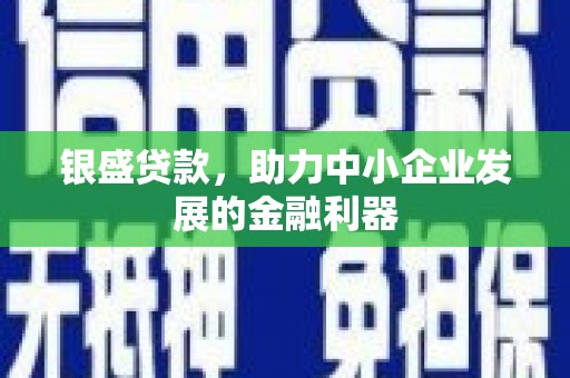 乐东银盛贷款，助力中小企业发展的金融利器