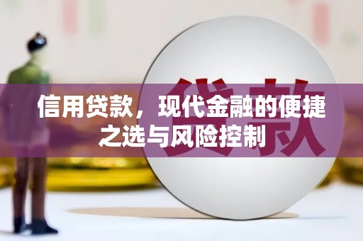 乐东信用贷款，现代金融的便捷之选与风险控制