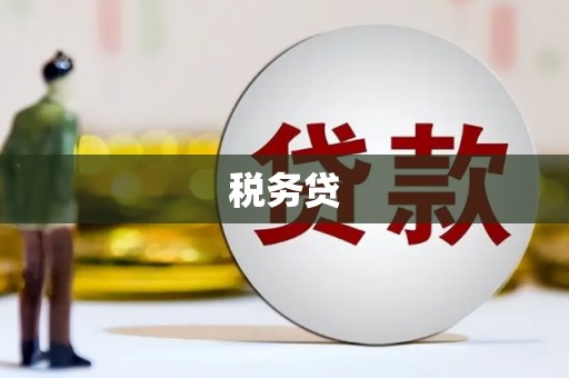 乐东税务贷