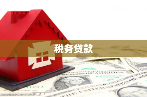 乐东税务贷款