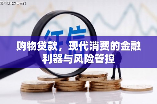 乐东购物贷款，现代消费的金融利器与风险管控