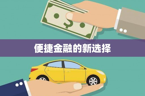 乐东便捷金融的新选择