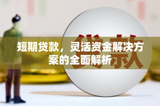 乐东短期贷款，灵活资金解决方案的全面解析