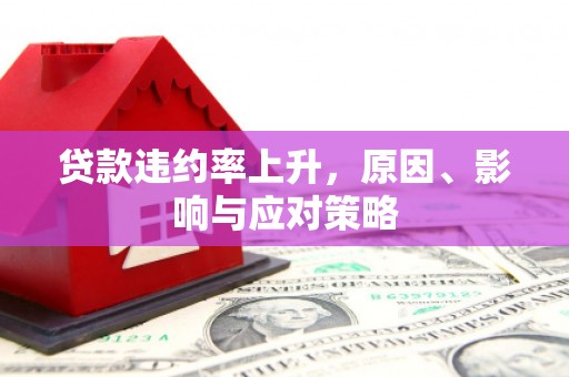 乐东贷款违约率上升，原因、影响与应对策略