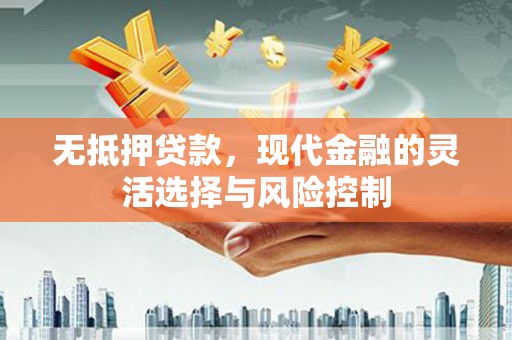 乐东无抵押贷款，现代金融的灵活选择与风险控制