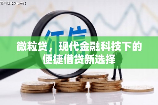乐东微粒贷，现代金融科技下的便捷借贷新选择