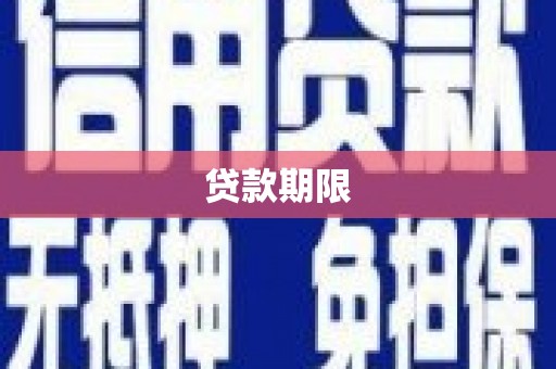 乐东贷款期限