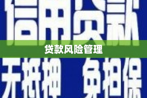 乐东贷款风险管理