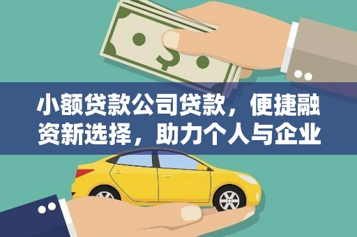乐东小额贷款公司贷款，便捷融资新选择，助力个人与企业成长