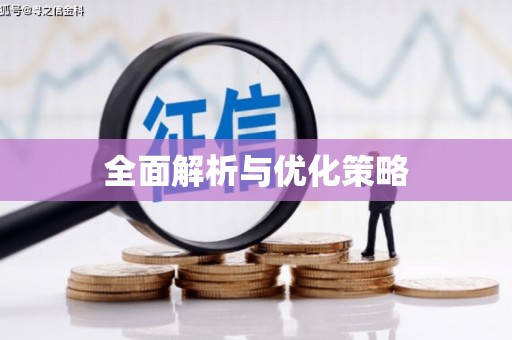 乐东全面解析与优化策略