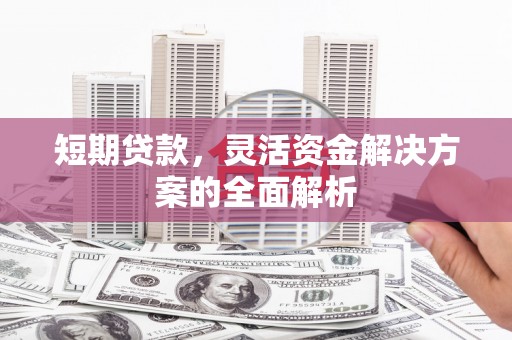 乐东短期贷款，灵活资金解决方案的全面解析