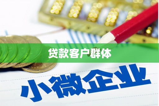乐东贷款客户群体