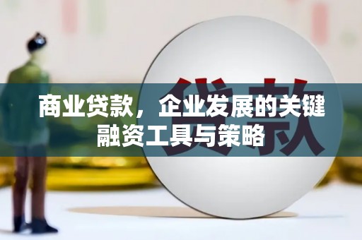 乐东商业贷款，企业发展的关键融资工具与策略