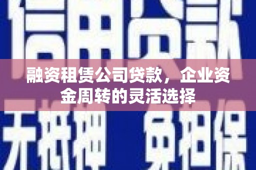 乐东融资租赁公司贷款，企业资金周转的灵活选择