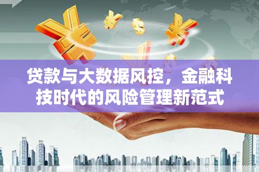 乐东贷款与大数据风控，金融科技时代的风险管理新范式