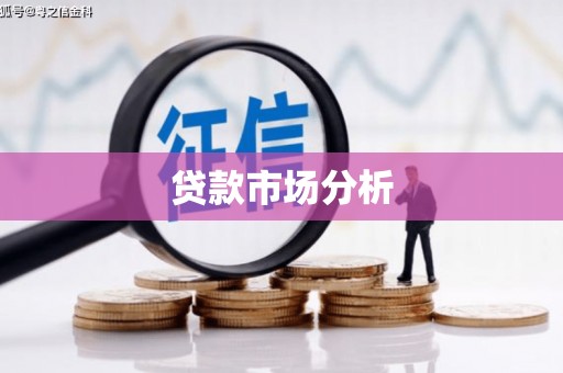 乐东贷款市场分析