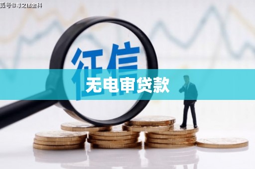 乐东无电审贷款