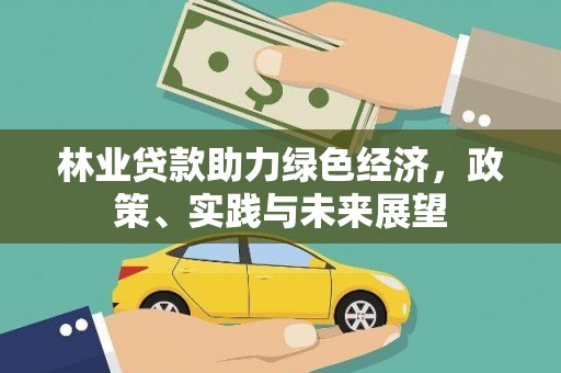 乐东林业贷款助力绿色经济，政策、实践与未来展望