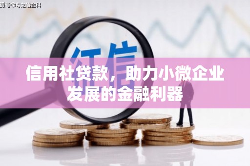 乐东信用社贷款，助力小微企业发展的金融利器