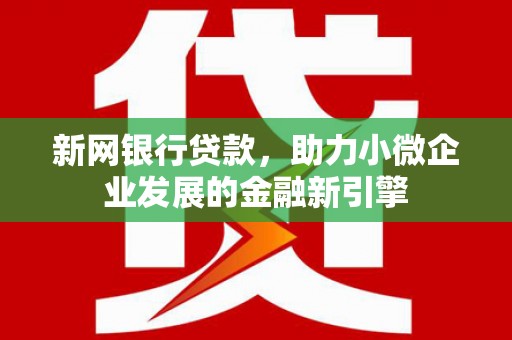乐东新网银行贷款，助力小微企业发展的金融新引擎