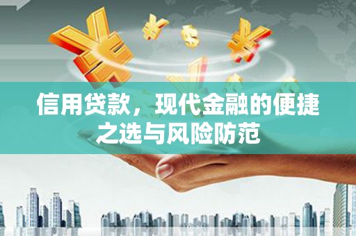 乐东信用贷款，现代金融的便捷之选与风险防范