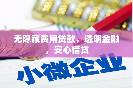 乐东无隐藏费用贷款，透明金融，安心借贷