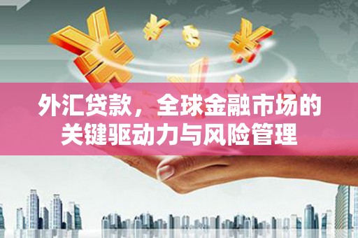 乐东外汇贷款，全球金融市场的关键驱动力与风险管理
