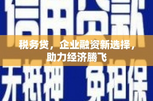 乐东税务贷，企业融资新选择，助力经济腾飞