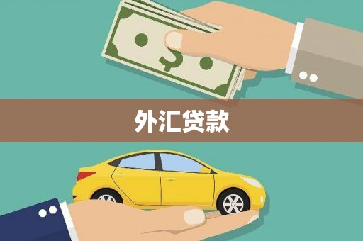 乐东外汇贷款