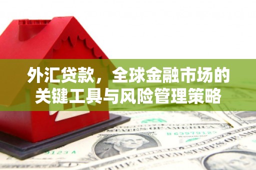 乐东外汇贷款，全球金融市场的关键工具与风险管理策略