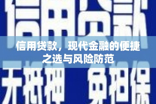 乐东信用贷款，现代金融的便捷之选与风险防范