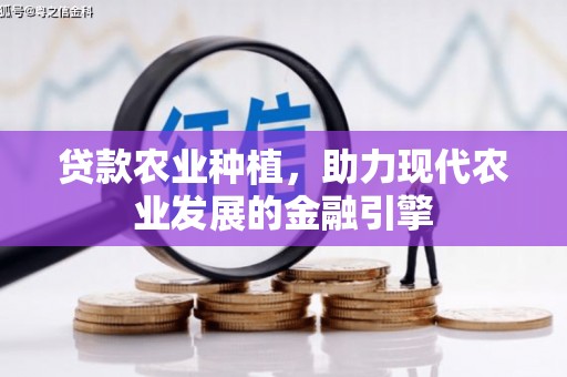 乐东贷款农业种植，助力现代农业发展的金融引擎