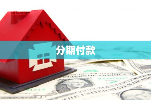 乐东分期付款