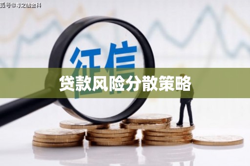 乐东贷款风险分散策略