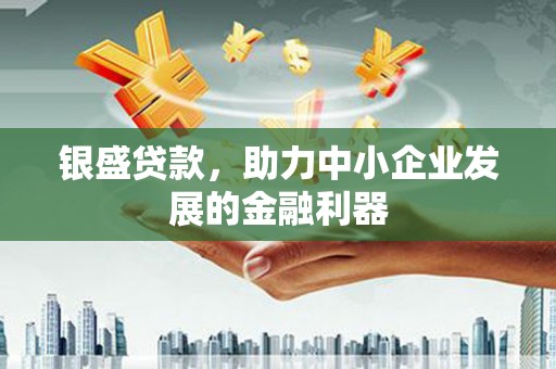 乐东银盛贷款，助力中小企业发展的金融利器