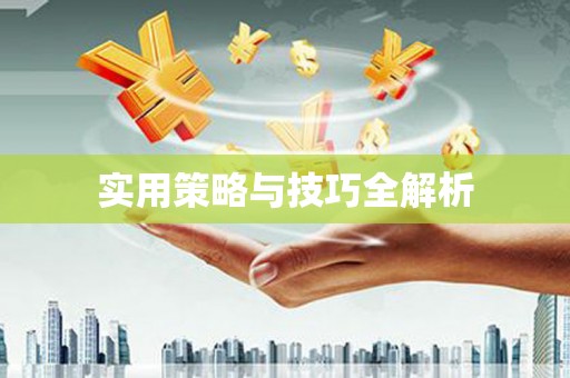 乐东实用策略与技巧全解析