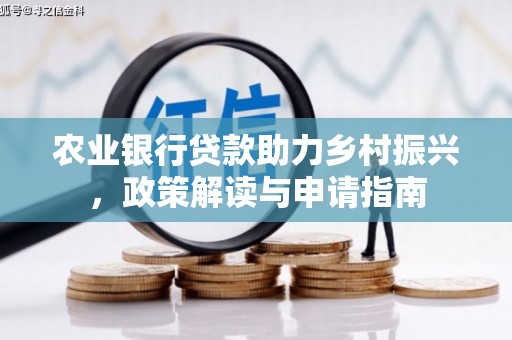 乐东农业银行贷款助力乡村振兴，政策解读与申请指南