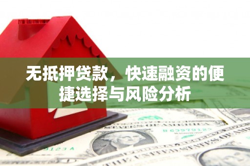乐东无抵押贷款，快速融资的便捷选择与风险分析
