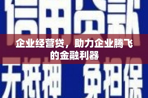 乐东企业经营贷，助力企业腾飞的金融利器