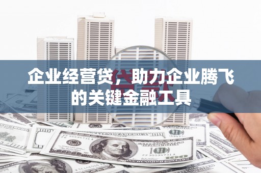 乐东企业经营贷，助力企业腾飞的关键金融工具