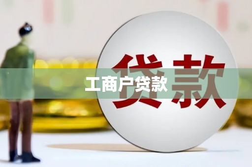 乐东工商户贷款
