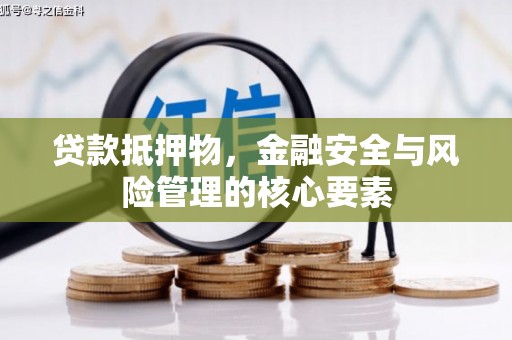 乐东贷款抵押物，金融安全与风险管理的核心要素