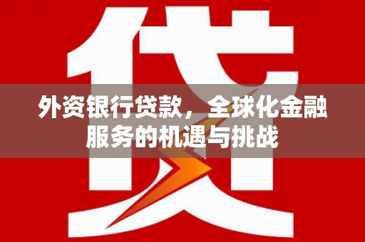乐东外资银行贷款，全球化金融服务的机遇与挑战